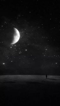 生肖星座视角下的象征解读