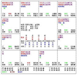 二、 星曜分布与命宫关联