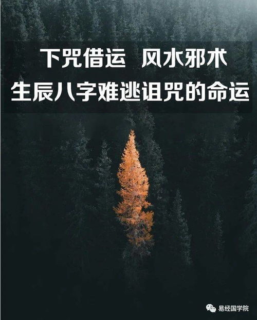 2.3 案例后续及异常现象