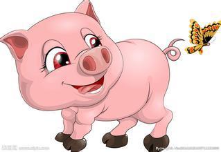 属猪的人佩戴什么生肖饰品最旺财旺钱？属猪女性最佳婚配对象是哪个生肖？