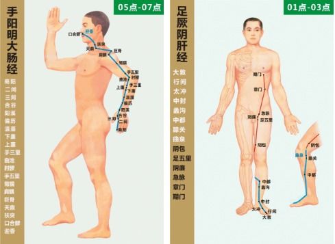 二、 十二宫位与病症对应关系