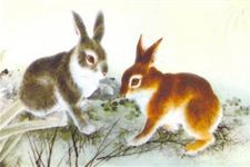 1999年属兔和1992年属猴的财运分别如何？