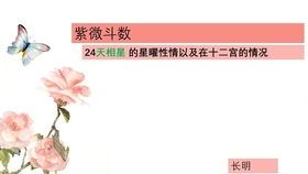 （一）命宫：性格外显与行为倾向之映射