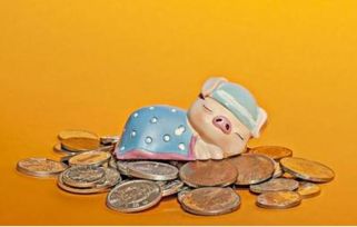 第一章 正财星的理论内涵与基本特质