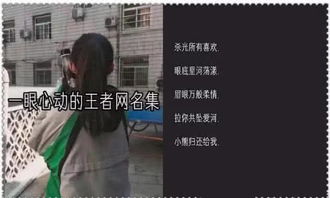 生肖元素的运用及其文化内涵