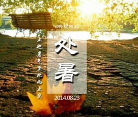 1.1 气候特征与物候表现