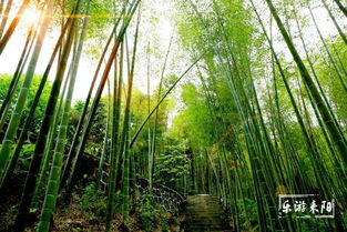 游玩体验：花钱买罪受