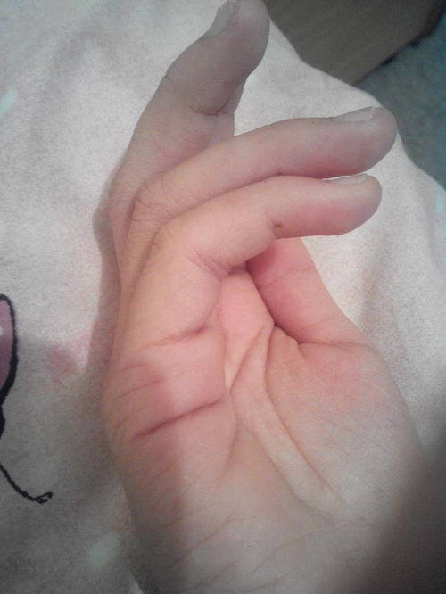 1. 性格特征及其对婚恋行为的调节作用