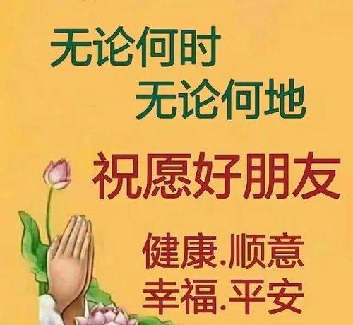 文献回顾与理论框架