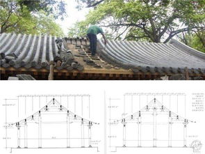 屋顶建造水池会对风水产生怎样的影响呢？