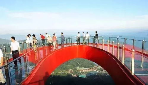 第三种选择：躺平式酒店旅游（这才是真谛！）