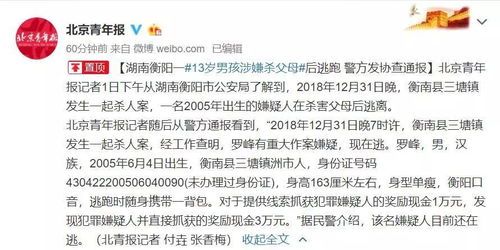 案例分析: