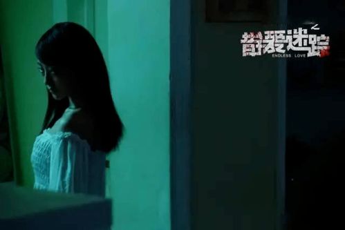 佳欣宿舍经历的多维度解释
