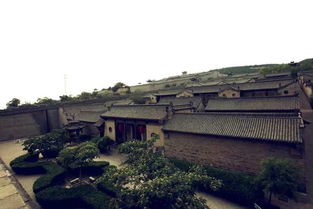 抵达后的 “第一把火”：为什么停车场要选东门而非南门？本地人偷偷告诉你