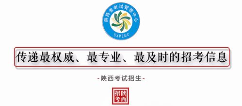 先说说
