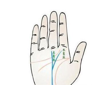 五、晚婚倾向与事业优先