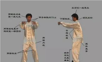 四、莲座姿勢對長期操演影響较