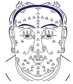 额头窄小与智慧不足