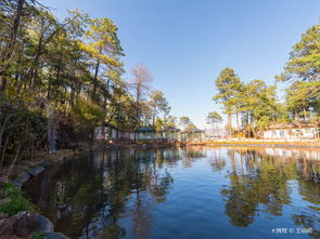 现在购买划算吗？这可是个技术活