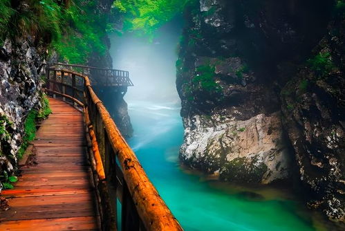 恩施靠谱旅社五强榜单揭晓