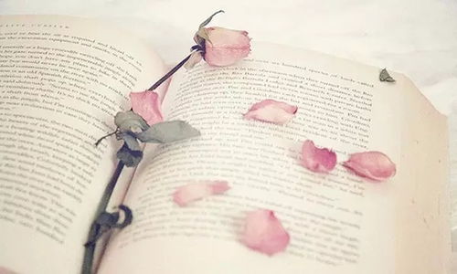 选择合适的方位: