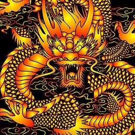 龙今日最旺时辰是哪个，能否告诉我每年吉凶时辰的具体情况？