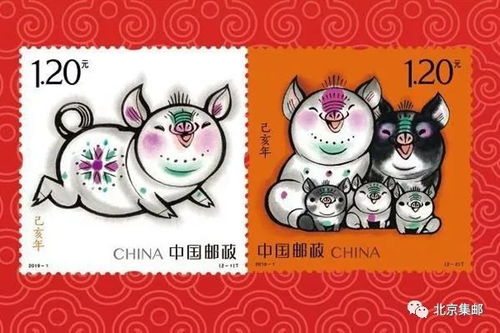 十二生肖五福具体指的是什么，能否详细解释一下？