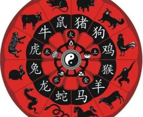 五、  屬猴人群的敏捷試錯：矩陣測試與爆品鎖定