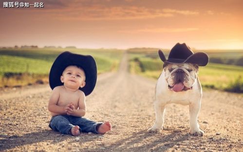 黄姓马年狗宝宝取名，有没有什么好名字推荐呢？