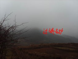 成功就是风水，龙行天下风水论坛，如何打造最佳风水布局？