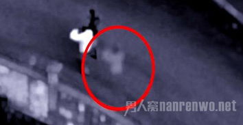 1. 心理因素的介入与初步解释