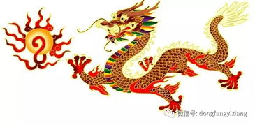 苏民峰2026年属龙完整运程具体内容是什么？