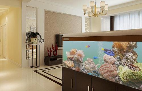 1. 鱼缸的风水意象