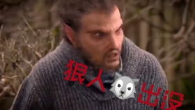 二、 为什么“坚毅如铁”会让人敬佩？但也要看情况！