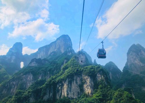 沿途风景？者阝在打瞌睡！