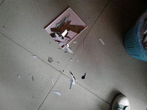 镜碎对心理状态状态之作用于