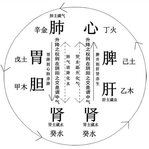 ：惯与“虚湿命局”之研究背景与意义