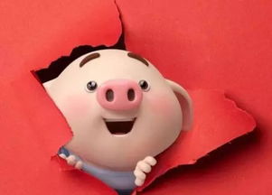 2026年属猪宝宝名字中缺金，有没有好的取名建议？