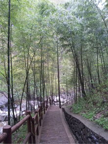 3. 餐饮消费预算