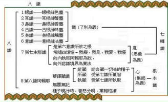 二、 整体寓意的层次结构