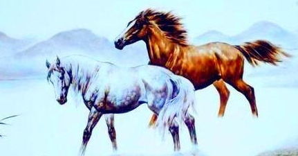 土不拉几的褐色