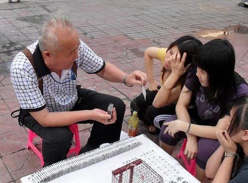 郑州附近有开设八字算命培训班，能测八字看有无儿女吗？