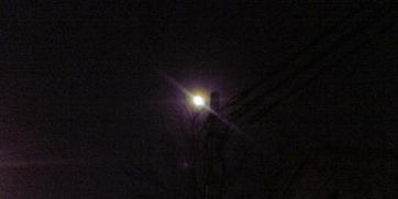 黑灯瞎火指的是哪个生肖？最符合的生肖是什么意思？