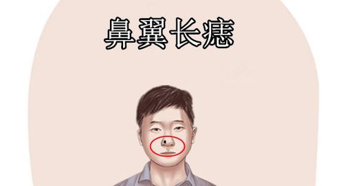 面相学视角下：纳税与储蓄能力之微妙关联性研究