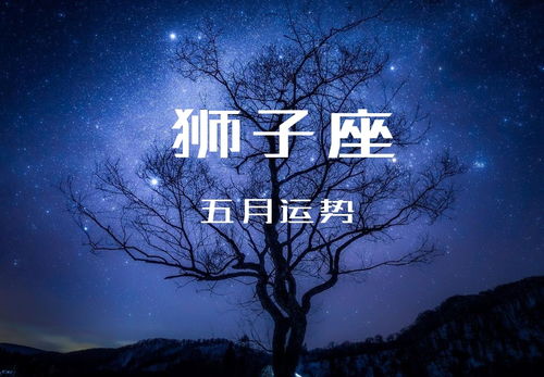 狮子座灵魂伴侣何时降临，摩羯座的灵魂伴侣会在何时出现？