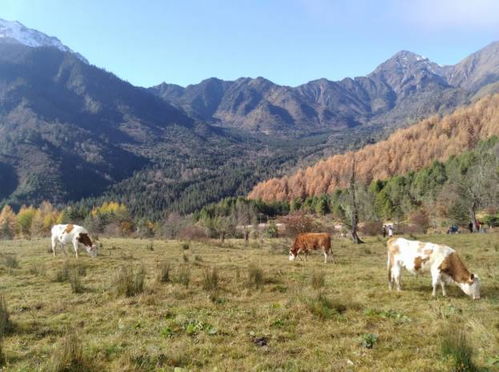 路上的风景与噪音