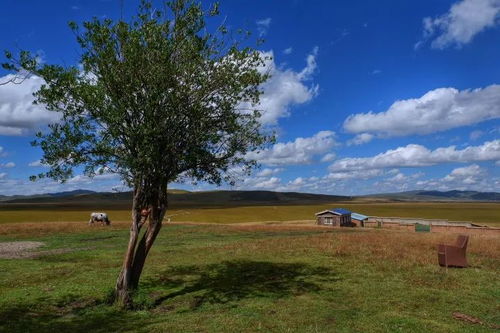 震惊！2026年去黄河第一湾竟然要这样操作？！看完我直接裂开了