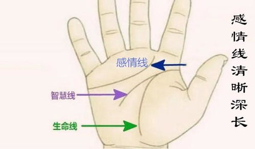 三、 财运与事业
