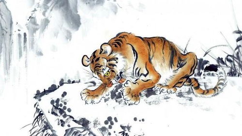 属虎取名，用凶还是吉字更吉利？忌讳的字有哪些？