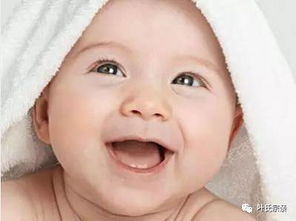 今年出生的宝贝们